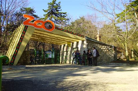 Zoo in Budapest! Un Portrait Etico del Circo e una Critica Sociale Inaspettata!